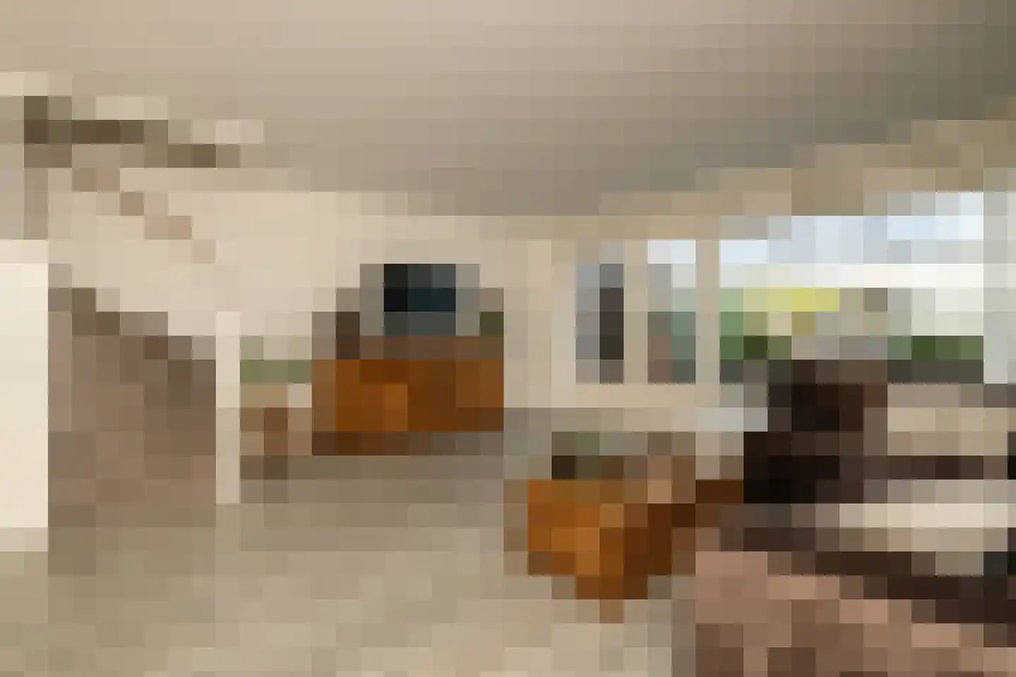 Beelstraat 75 Naaldwijk thumbnail 9