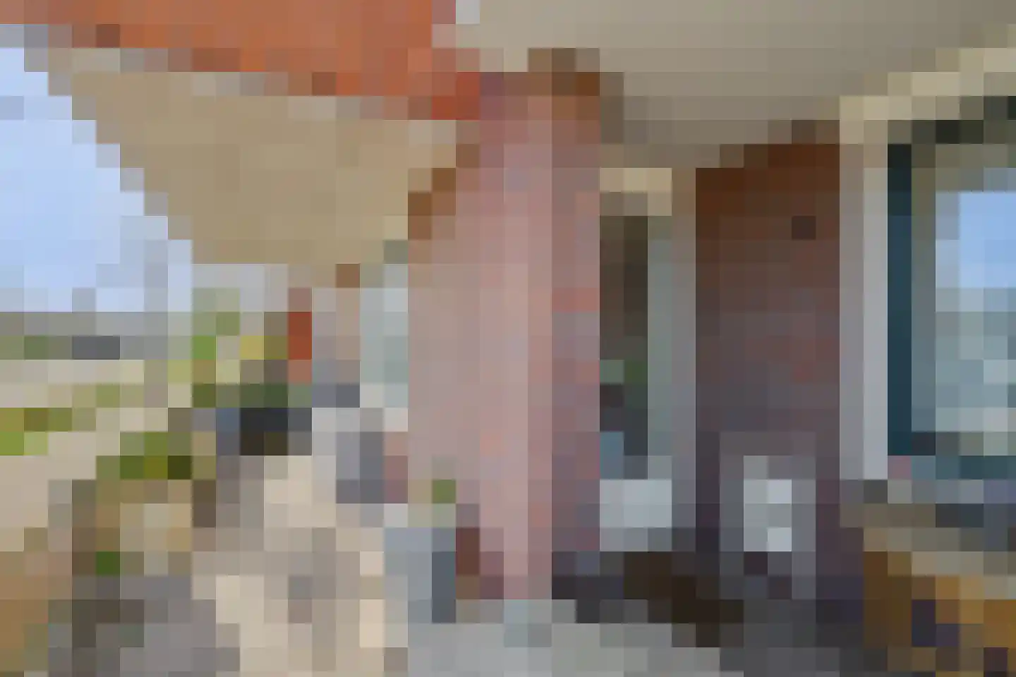 Beemd 1 Hendrik-Ido-Ambacht thumbnail 24
