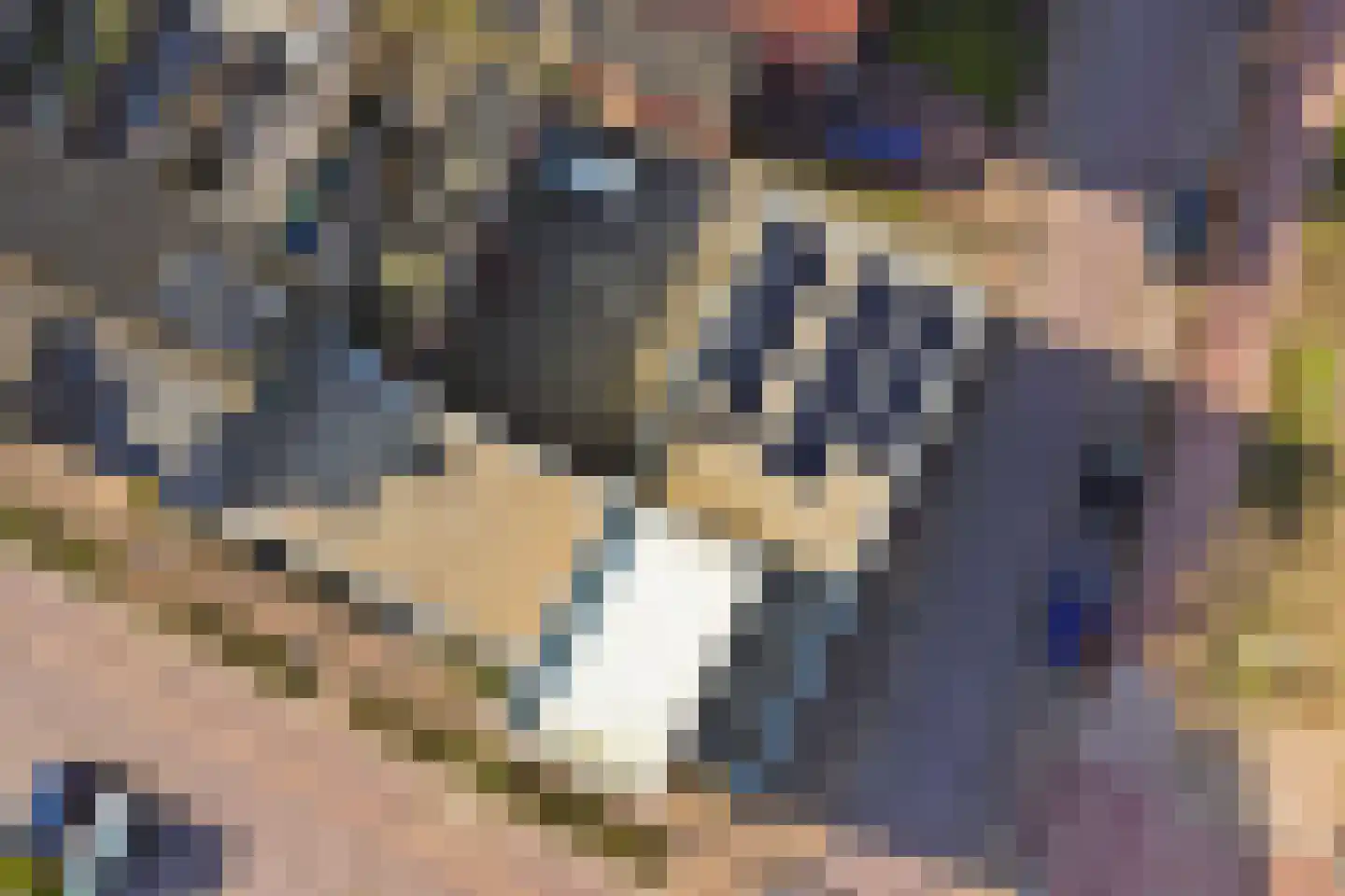 Beemd 1 Hendrik-Ido-Ambacht thumbnail 30