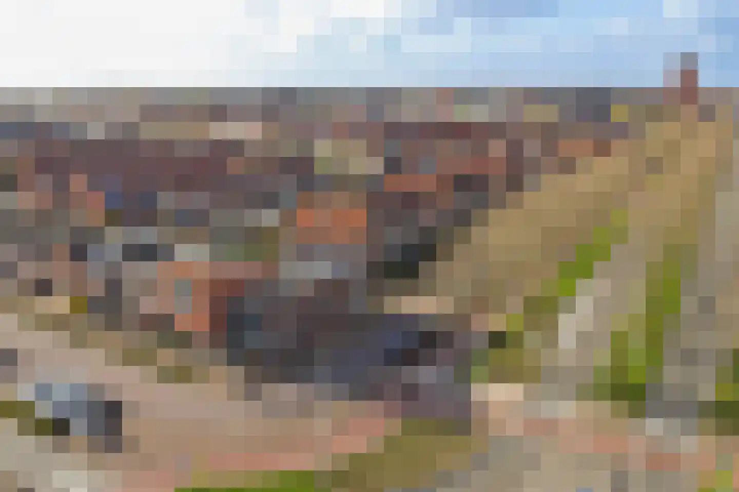 Beemd 1 Hendrik-Ido-Ambacht thumbnail 31