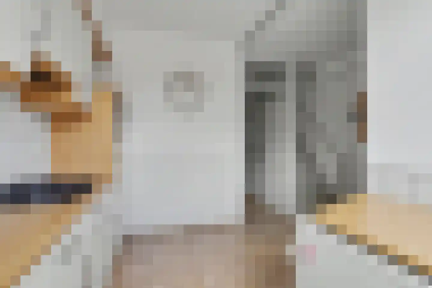 Beemd 10 Borne thumbnail 8