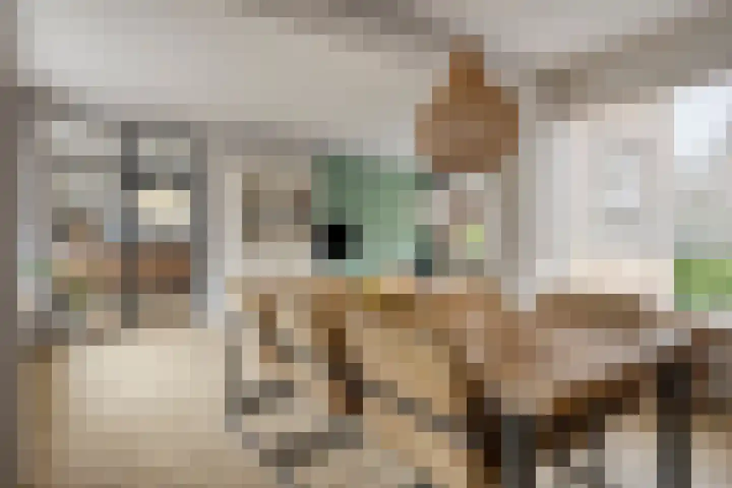 Beemd 11 Bavel thumbnail 18