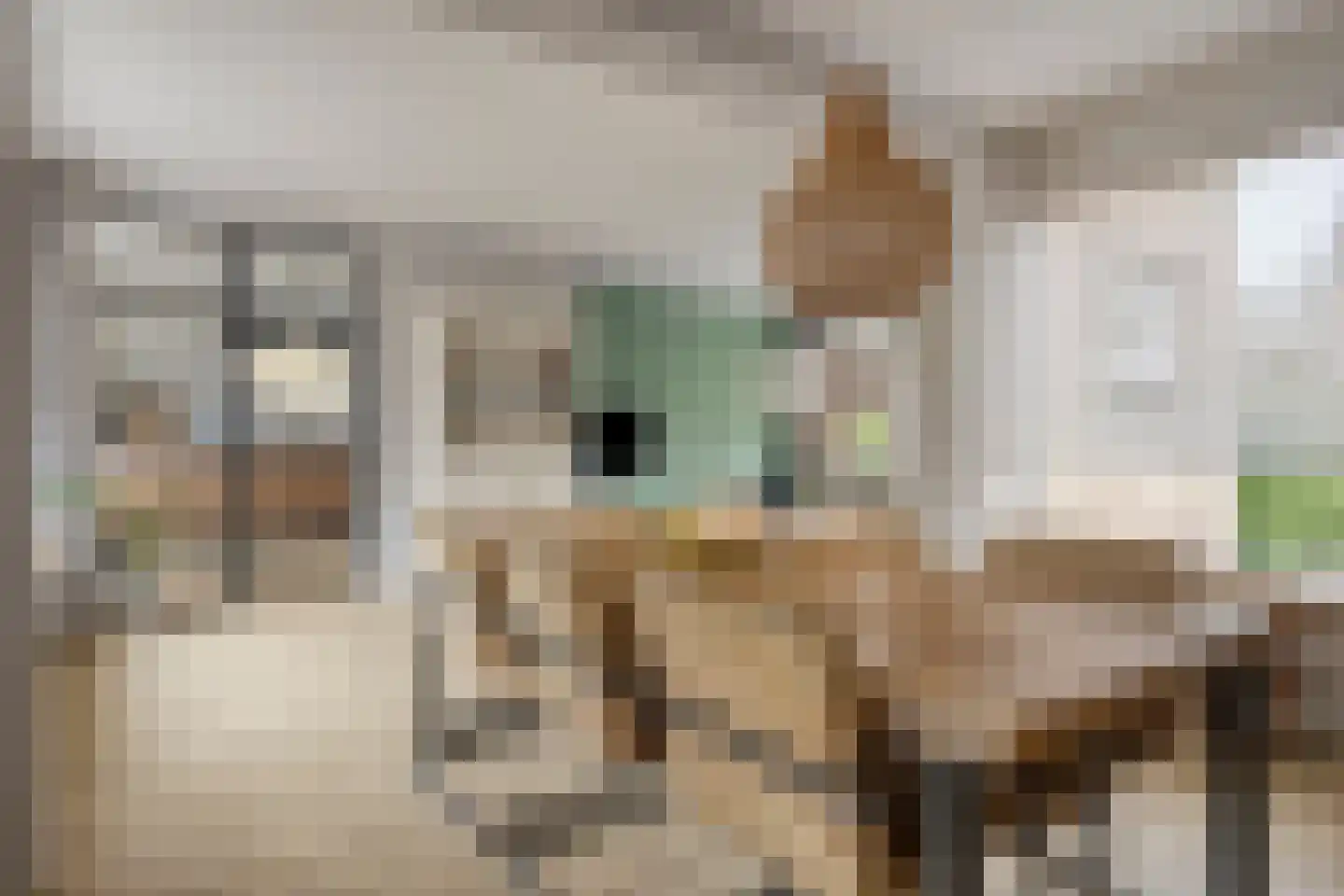 Beemd 11 Bavel thumbnail 18