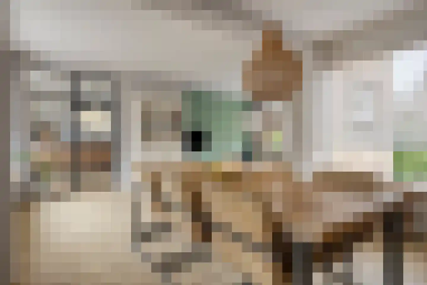 Beemd 11 Bavel thumbnail 19