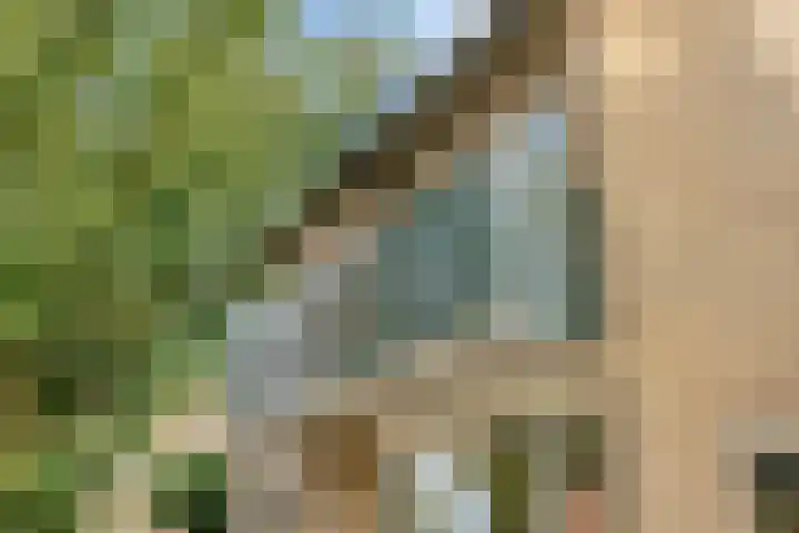 Beemd 12 Bavel thumbnail 10