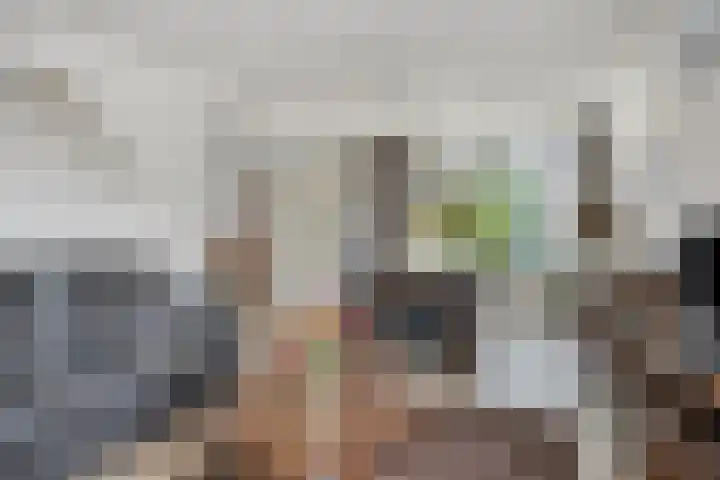 Beemd 12 Bavel thumbnail 17