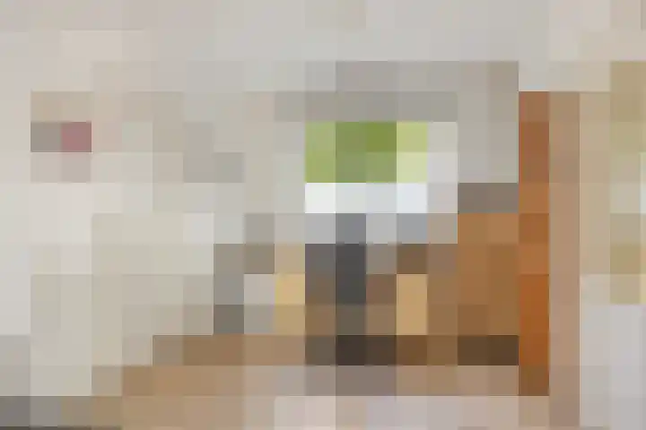 Beemd 12 Bavel thumbnail 19