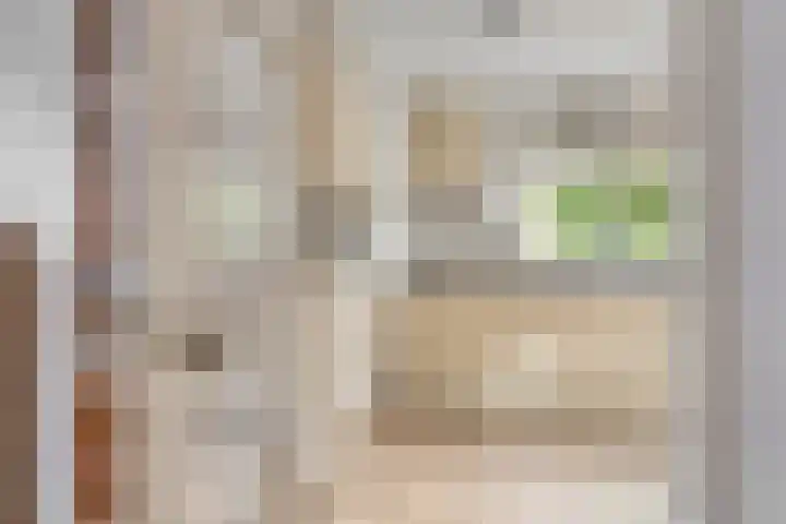 Beemd 12 Bavel thumbnail 20