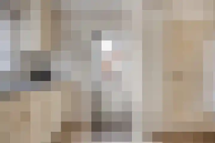 Beemd 12 Bavel thumbnail 22