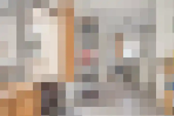 Beemd 12 Bavel thumbnail 24