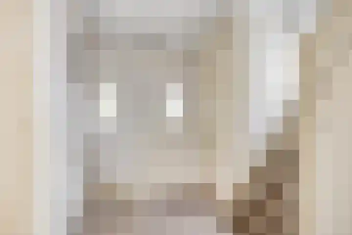 Beemd 12 Bavel thumbnail 25