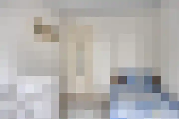 Beemd 12 Bavel thumbnail 35