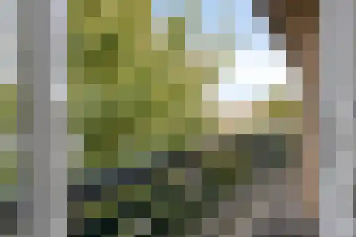 Beemd 12 Bavel thumbnail 38