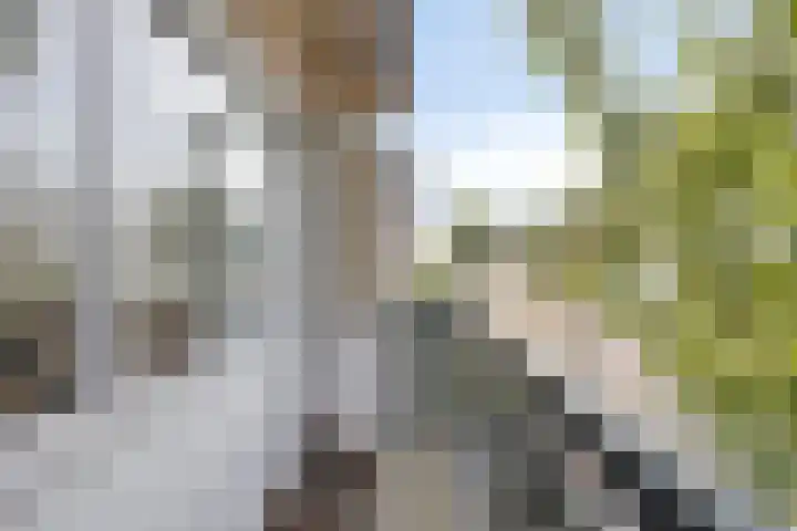 Beemd 12 Bavel thumbnail 39