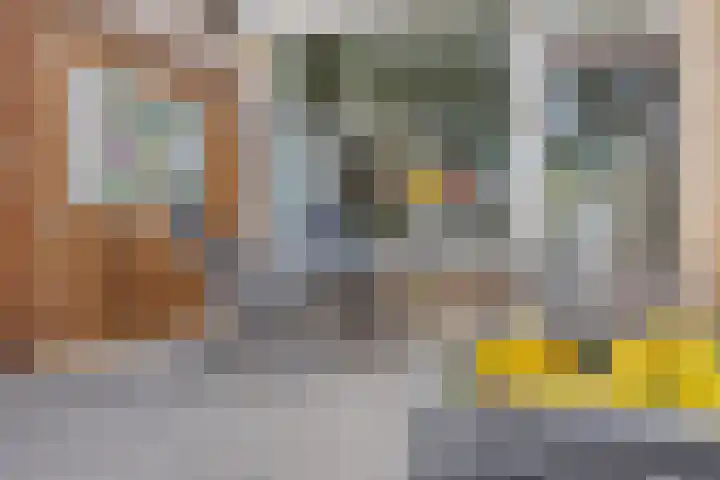 Beemd 12 Bavel thumbnail 4