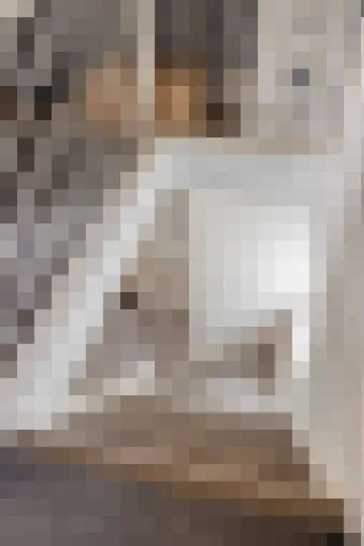Beemd 12 Bavel thumbnail 40