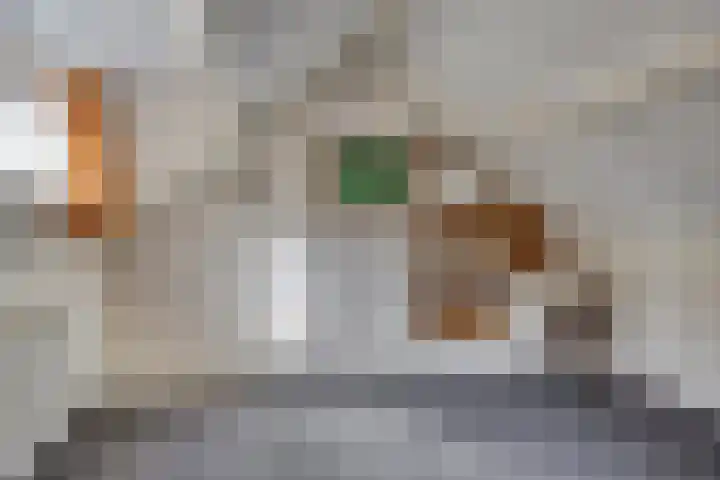 Beemd 12 Bavel thumbnail 43