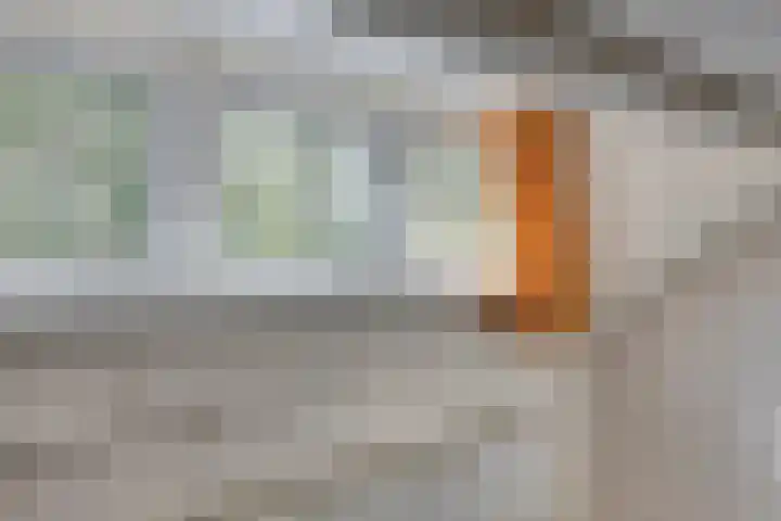 Beemd 12 Bavel thumbnail 44