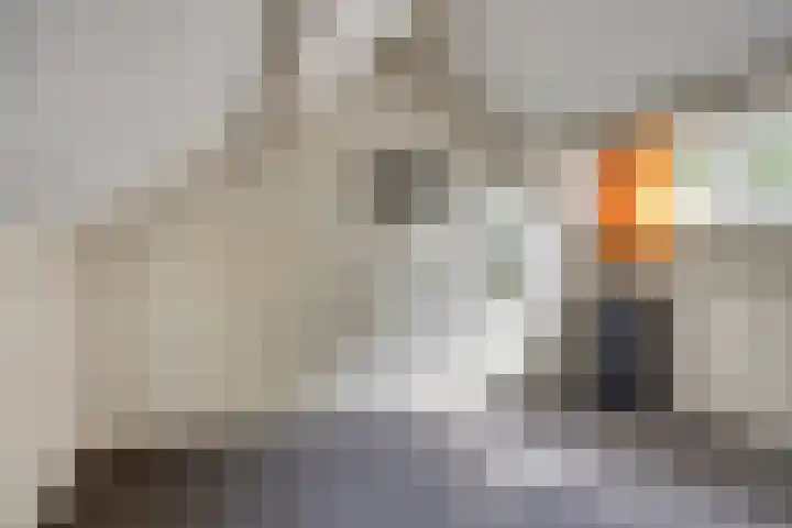 Beemd 12 Bavel thumbnail 45