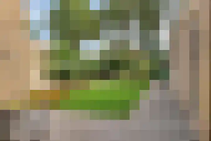 Beemd 12 Bavel thumbnail 46