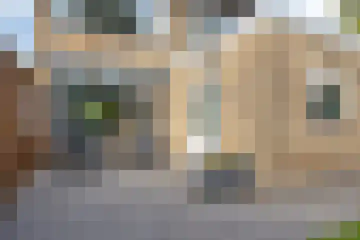 Beemd 12 Bavel thumbnail 47