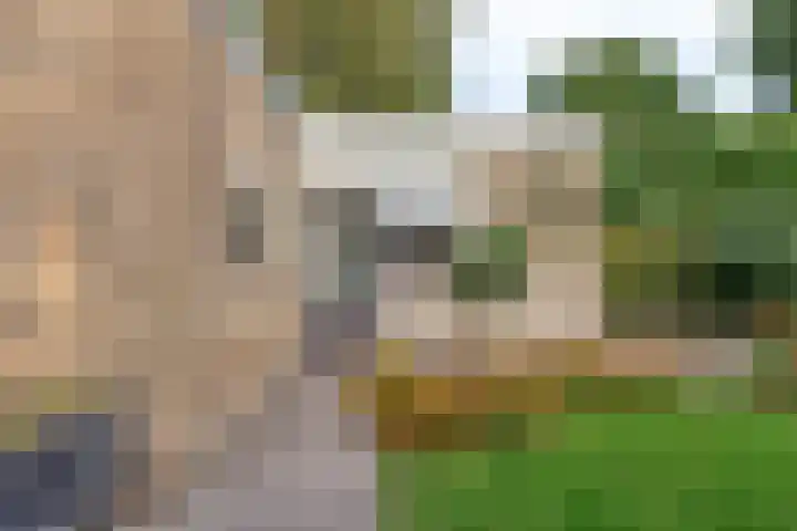 Beemd 12 Bavel thumbnail 48