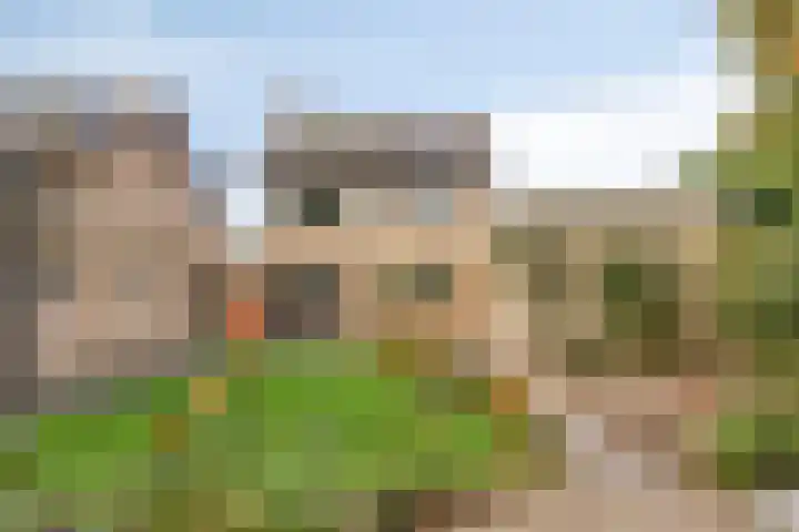 Beemd 12 Bavel thumbnail 5