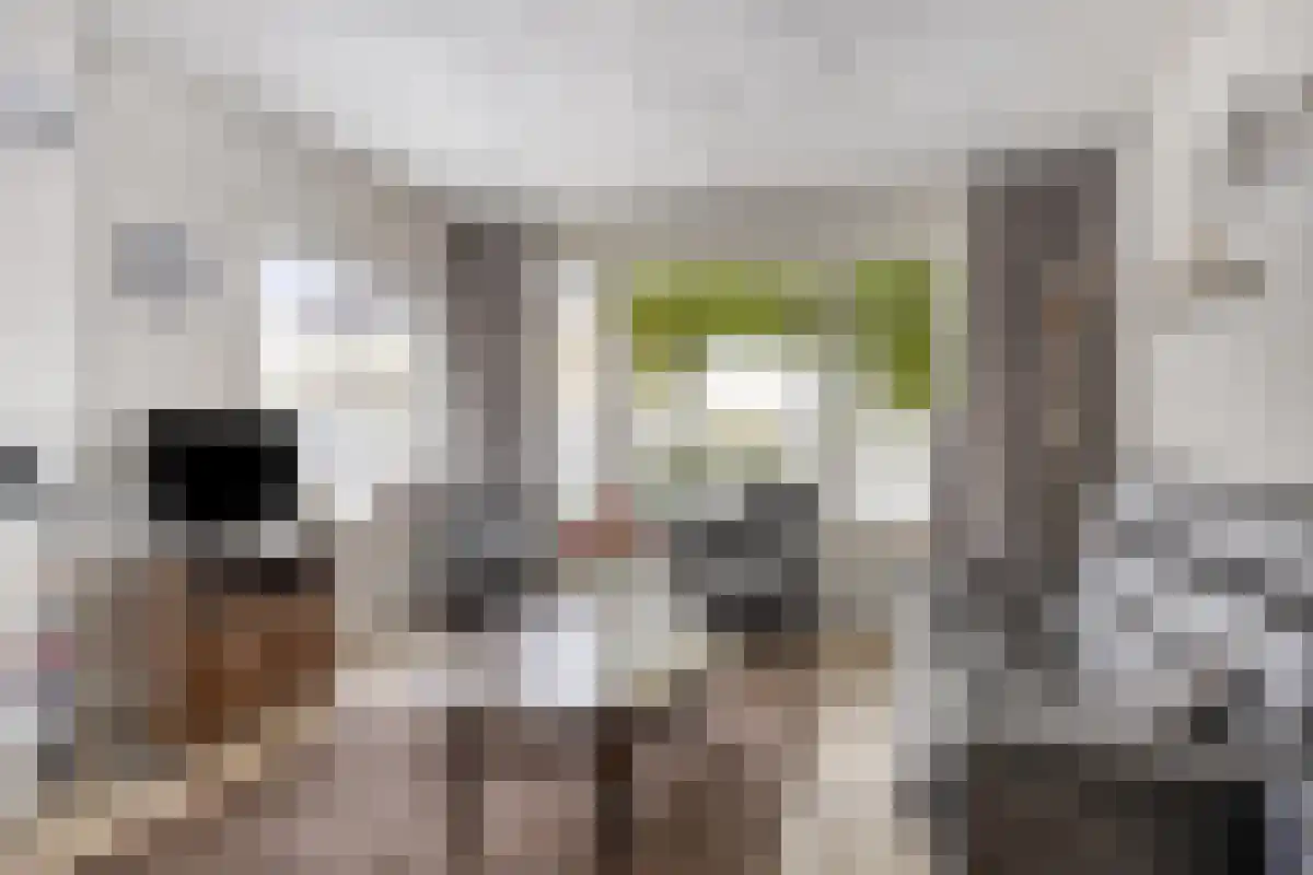Beemd 12 Bavel thumbnail 5
