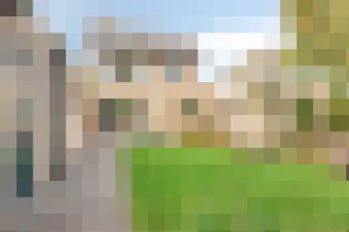 Beemd 12 Bavel thumbnail 50