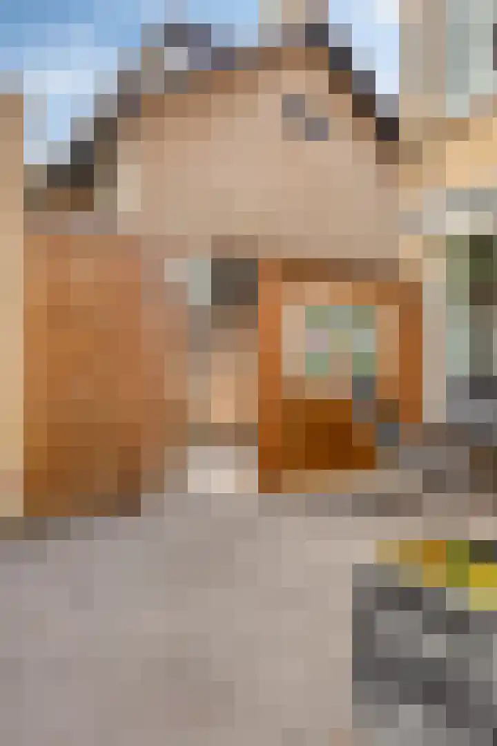Beemd 12 Bavel thumbnail 51