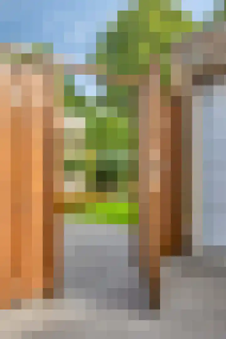 Beemd 12 Bavel thumbnail 52