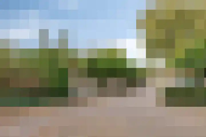 Beemd 12 Bavel thumbnail 54