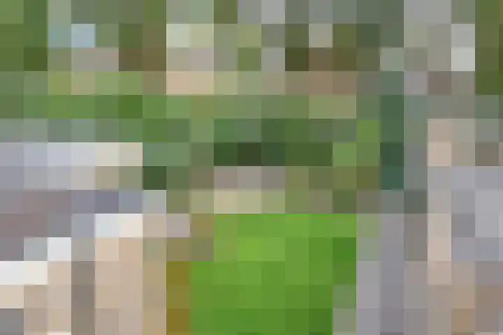 Beemd 12 Bavel thumbnail 55