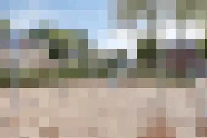 Beemd 12 Bavel thumbnail 56