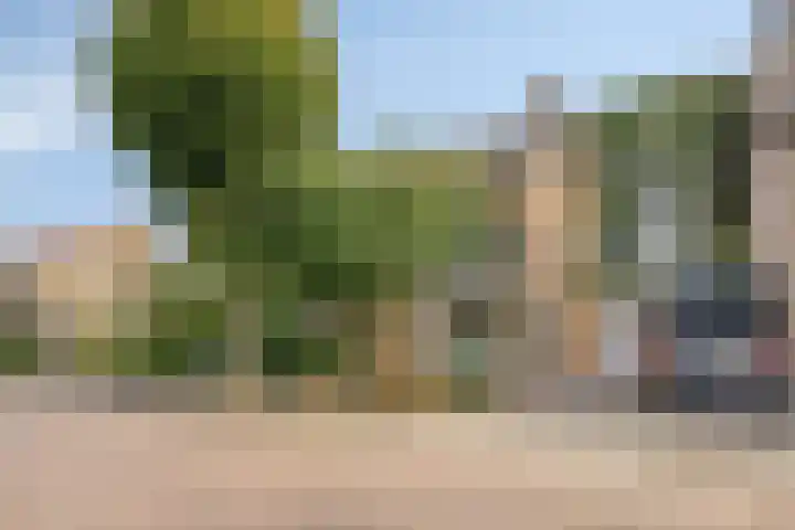 Beemd 12 Bavel thumbnail 6