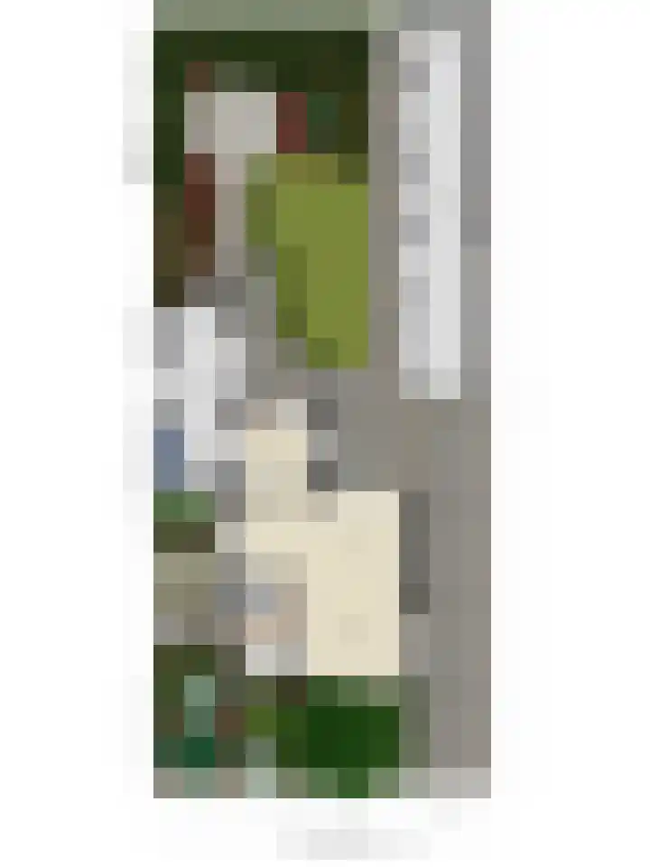 Beemd 12 Bavel thumbnail 61