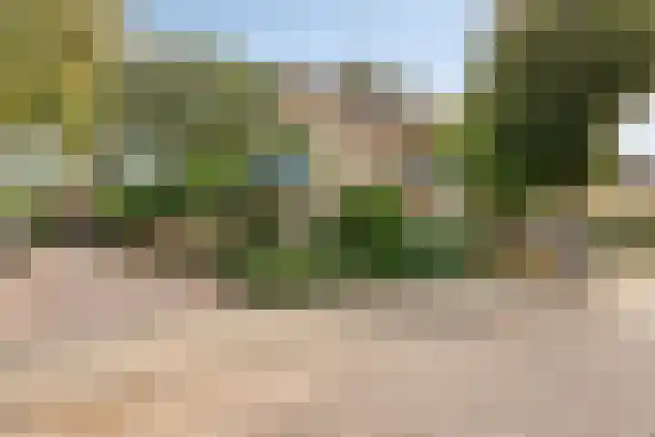 Beemd 12 Bavel thumbnail 7