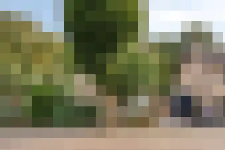 Beemd 12 Bavel thumbnail 8