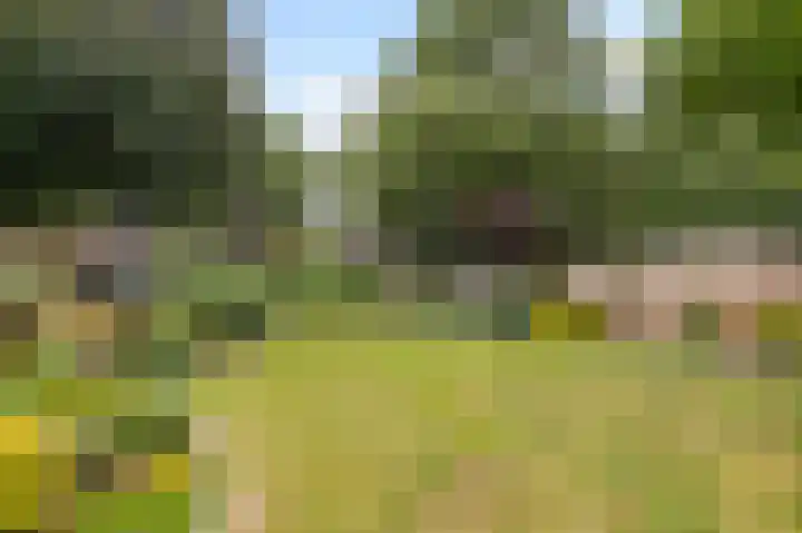 Beemd 19 a Huissen thumbnail 20