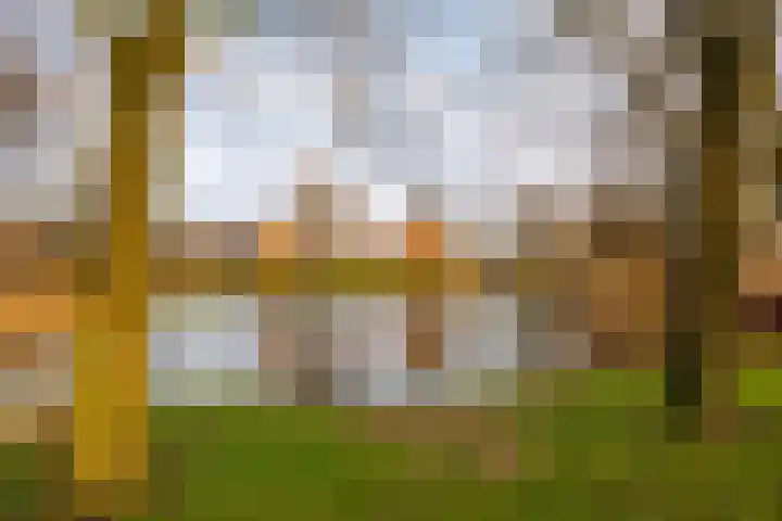 Beemd 19 a Huissen thumbnail 24