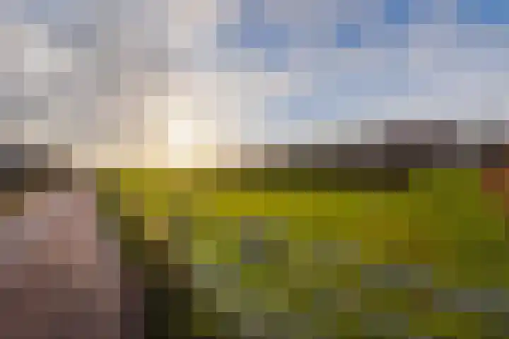 Beemd 19 a Huissen thumbnail 25