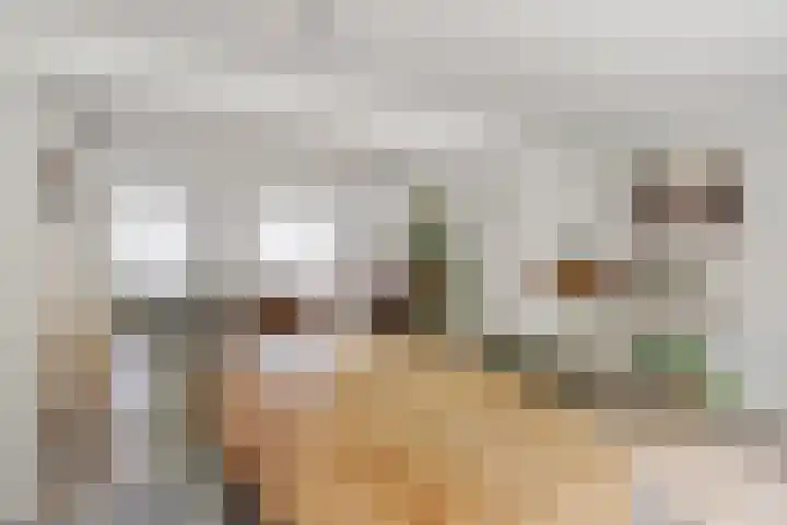 Beemd 19 a Huissen thumbnail 5