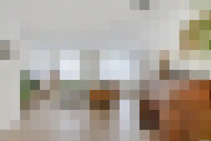 Beemd 19 a Huissen thumbnail 8