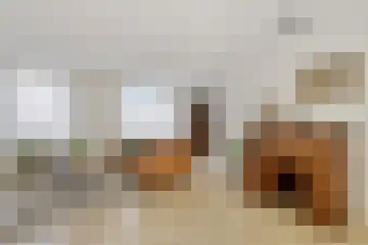 Beemd 19 a Huissen thumbnail 9