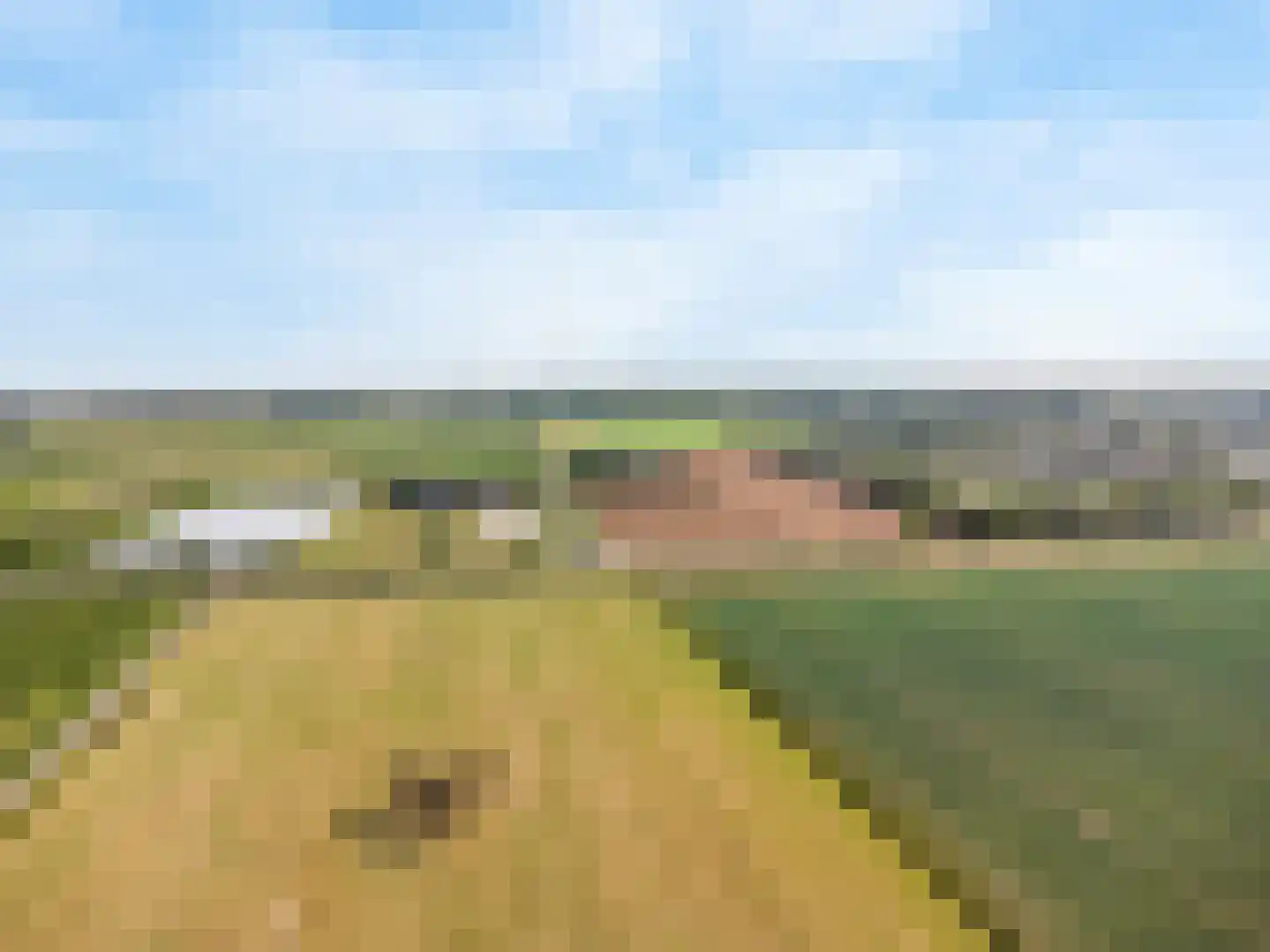 Beemd 2 Enspijk thumbnail 41