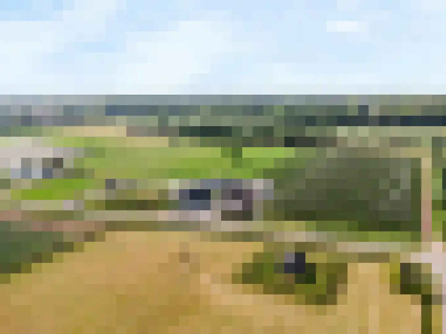 Beemd 2 Enspijk thumbnail 43