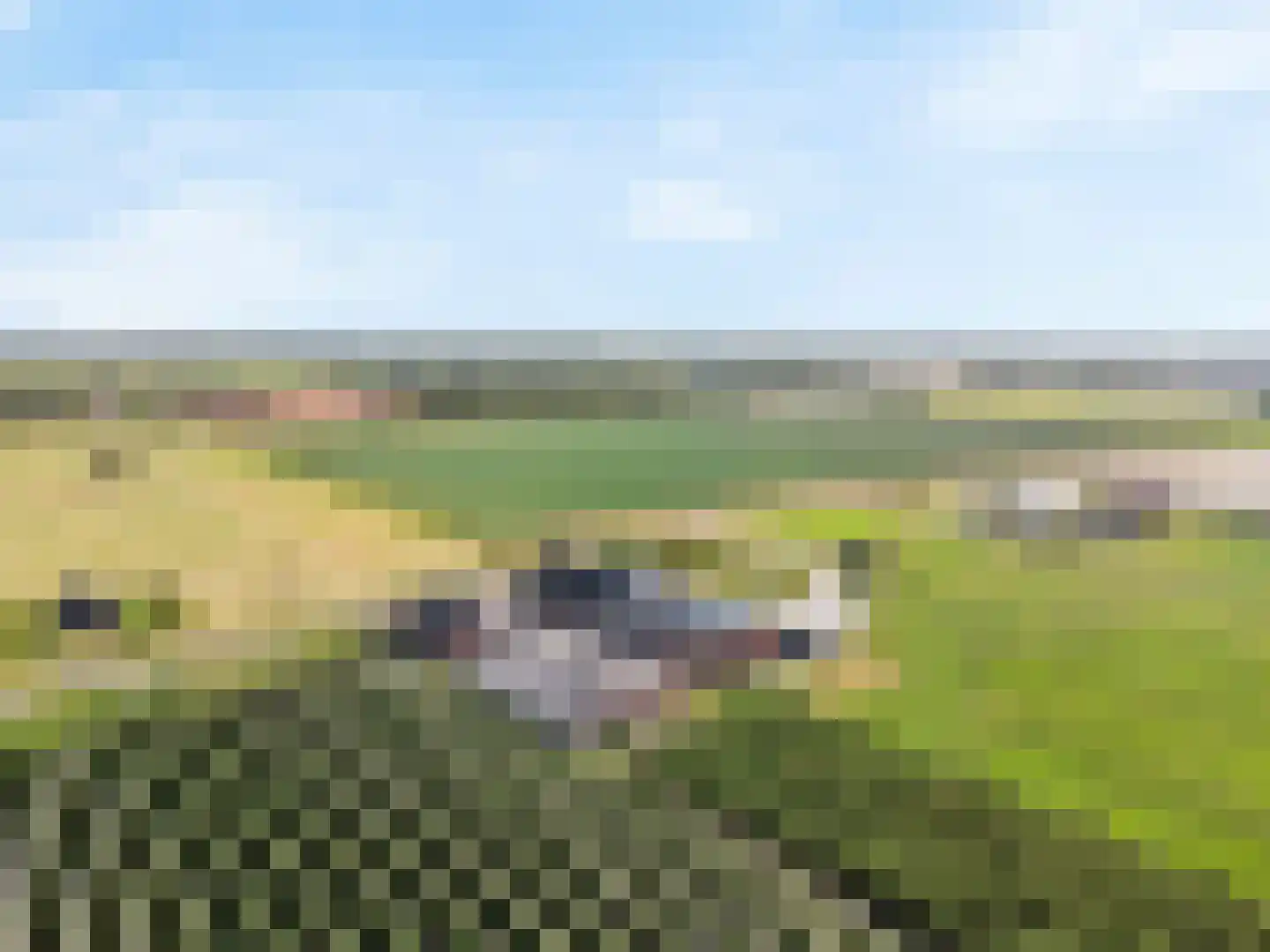 Beemd 2 Enspijk thumbnail 46