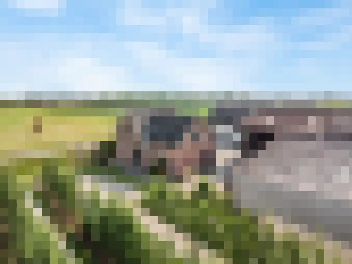 Beemd 2 Enspijk thumbnail 5