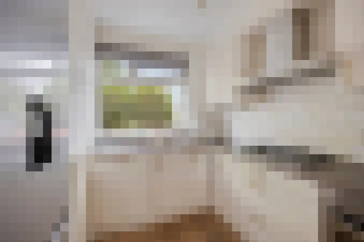 Beemd 21 Spierdijk thumbnail 11
