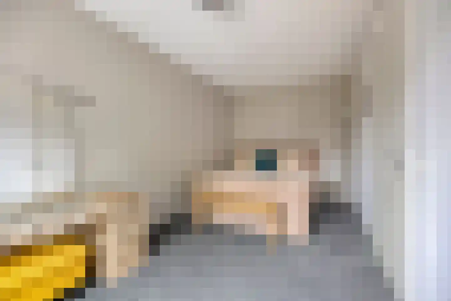 Beemd 21 Spierdijk thumbnail 14